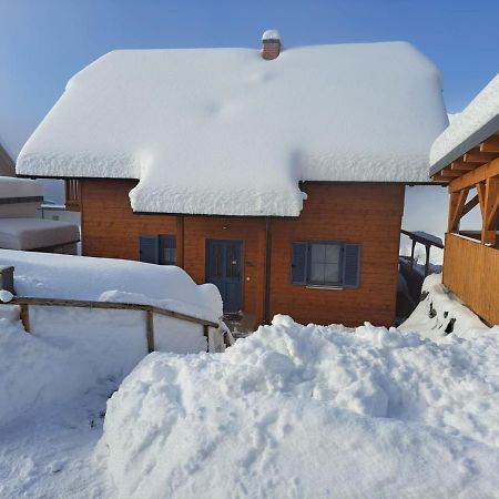 St Wolfgang-Kienberg - Ruhe Und Entspannung Mit Bester Aussicht Villa Obdach Exterior foto