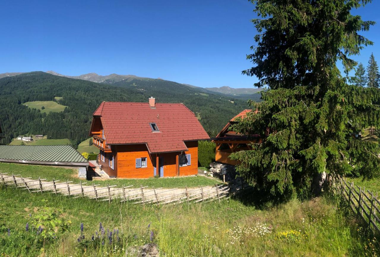 St Wolfgang-Kienberg - Ruhe Und Entspannung Mit Bester Aussicht Villa Obdach Exterior foto